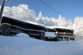  Chalet Hotel Les Marmottes 2 étoiles NN  Монферье